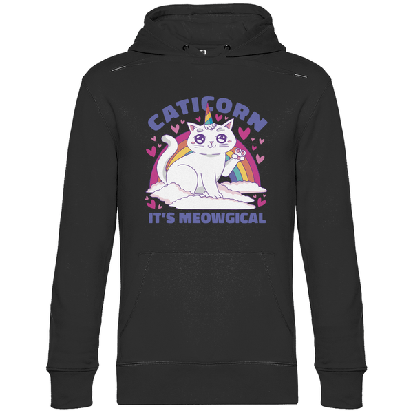 Caticorn - Herren Hoodie - Textilzauber